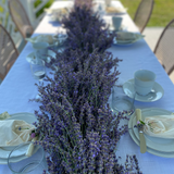 Evening Tea Amidst the Lavender Field at Brittingham Farms - June 25th, 2025 at 6:30PM